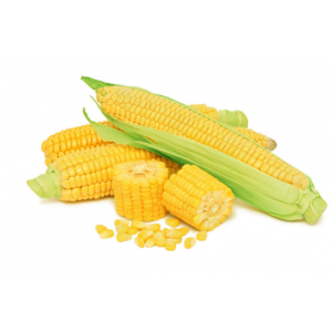 Подольский 274 СВ F1 - кукуруза, 80 000 семян  фото, цена